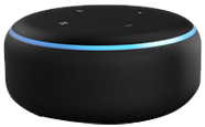voice search device
